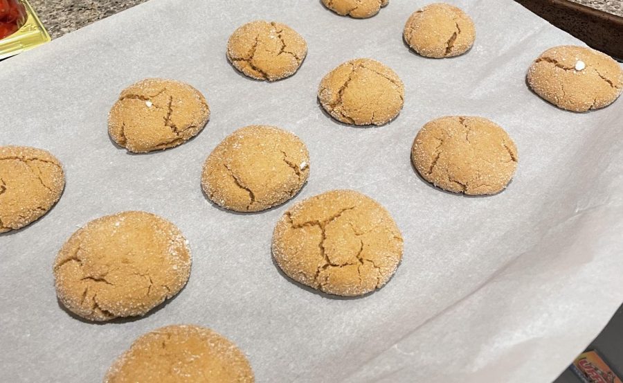 A batch of the Swedish spice cookie pepparkakor cools on the counter.