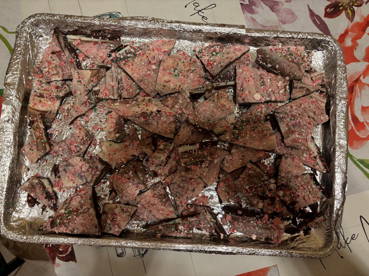 The peppermint bark has been chilled and cracked into uneven pieces.