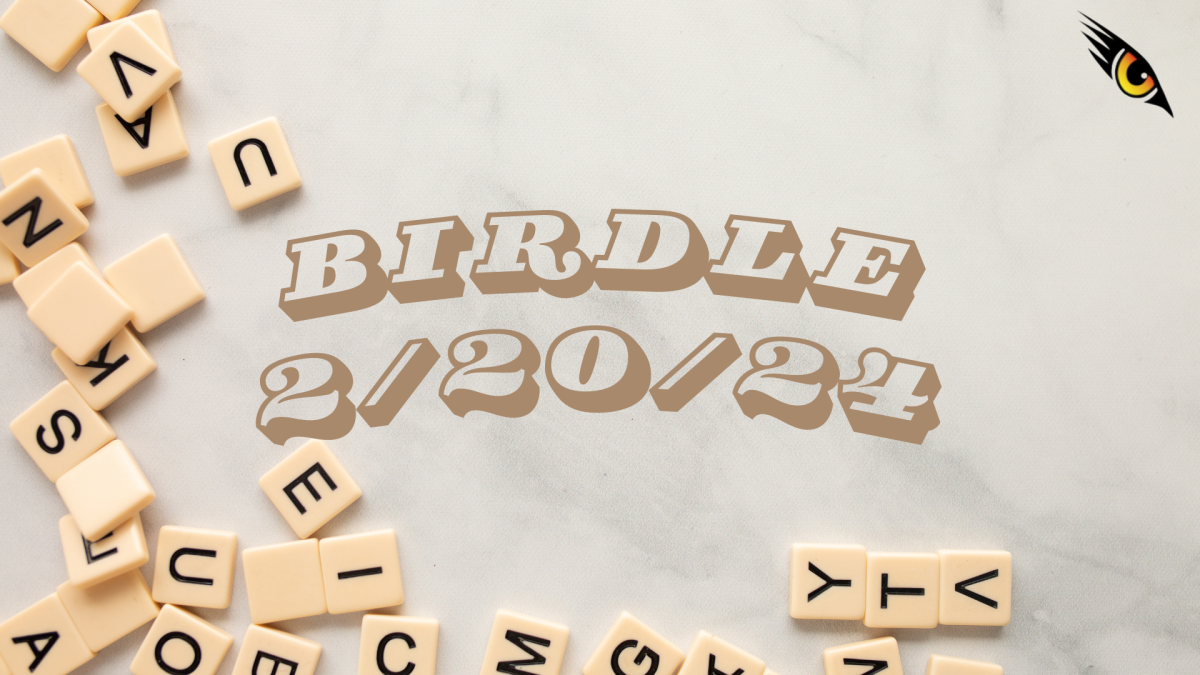 BIRDLE - 2/20/24