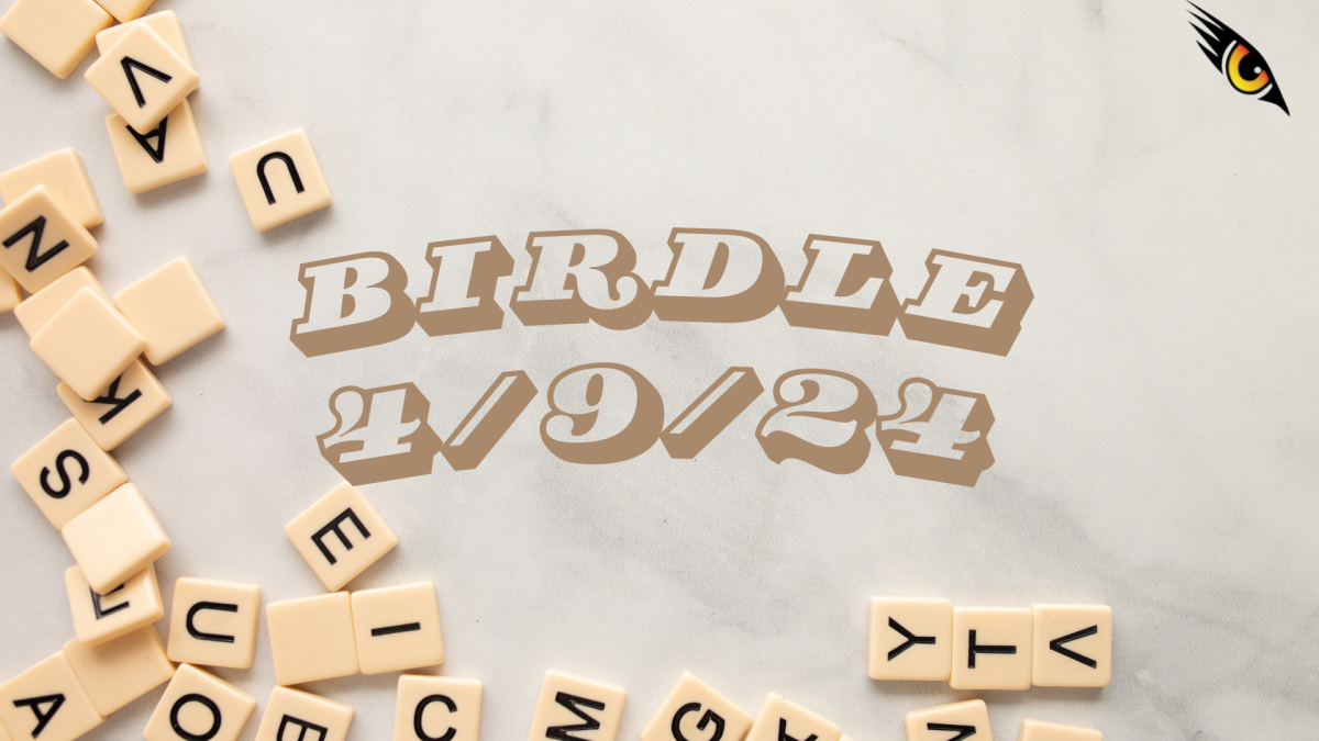 BIRDLE - 4/9/24