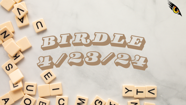 BIRDLE - 4/23/24