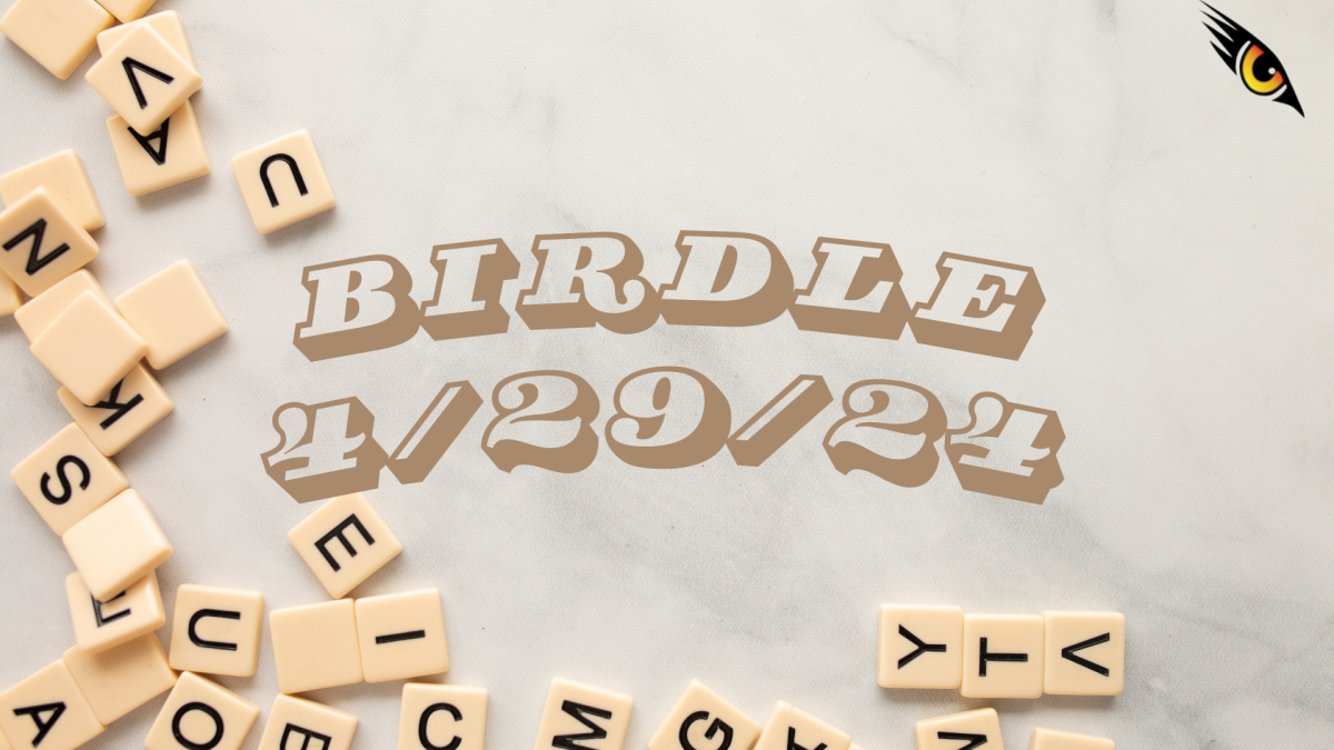 BIRDLE - 4/29/24