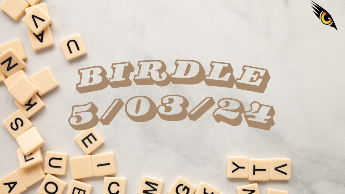 BIRDLE - 5/03/24