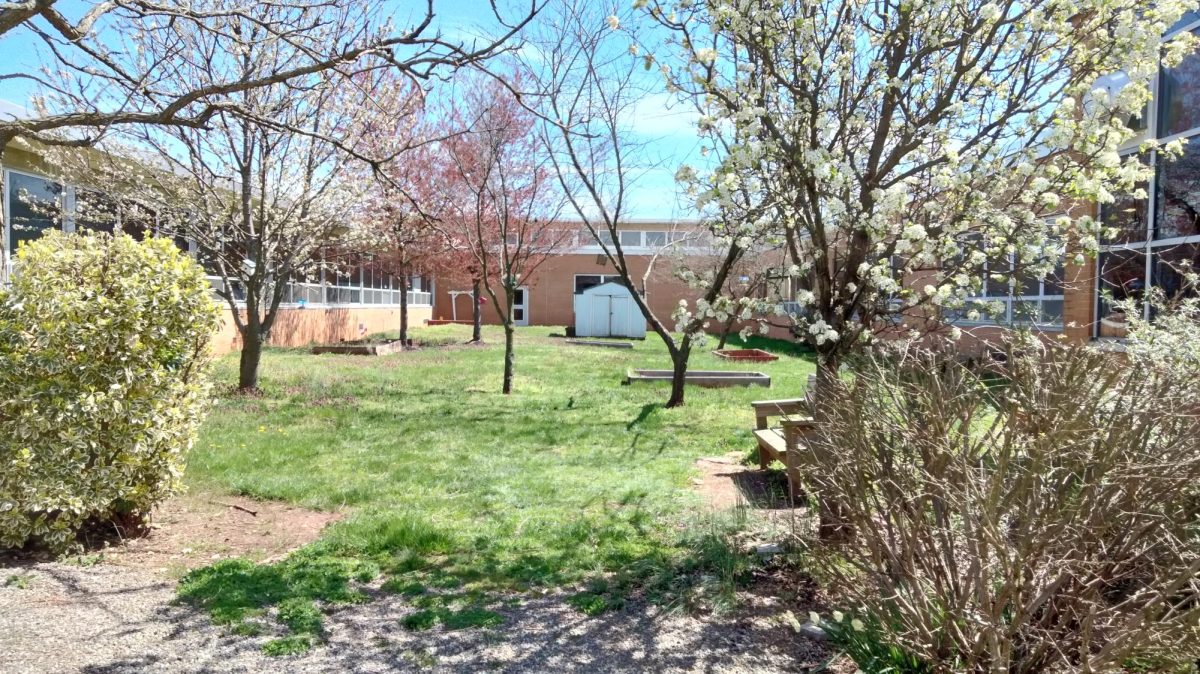 The courtyard at Edison High School, located next to the breezeway. This is home to the garden, shed, and several different types and varieties of trees.