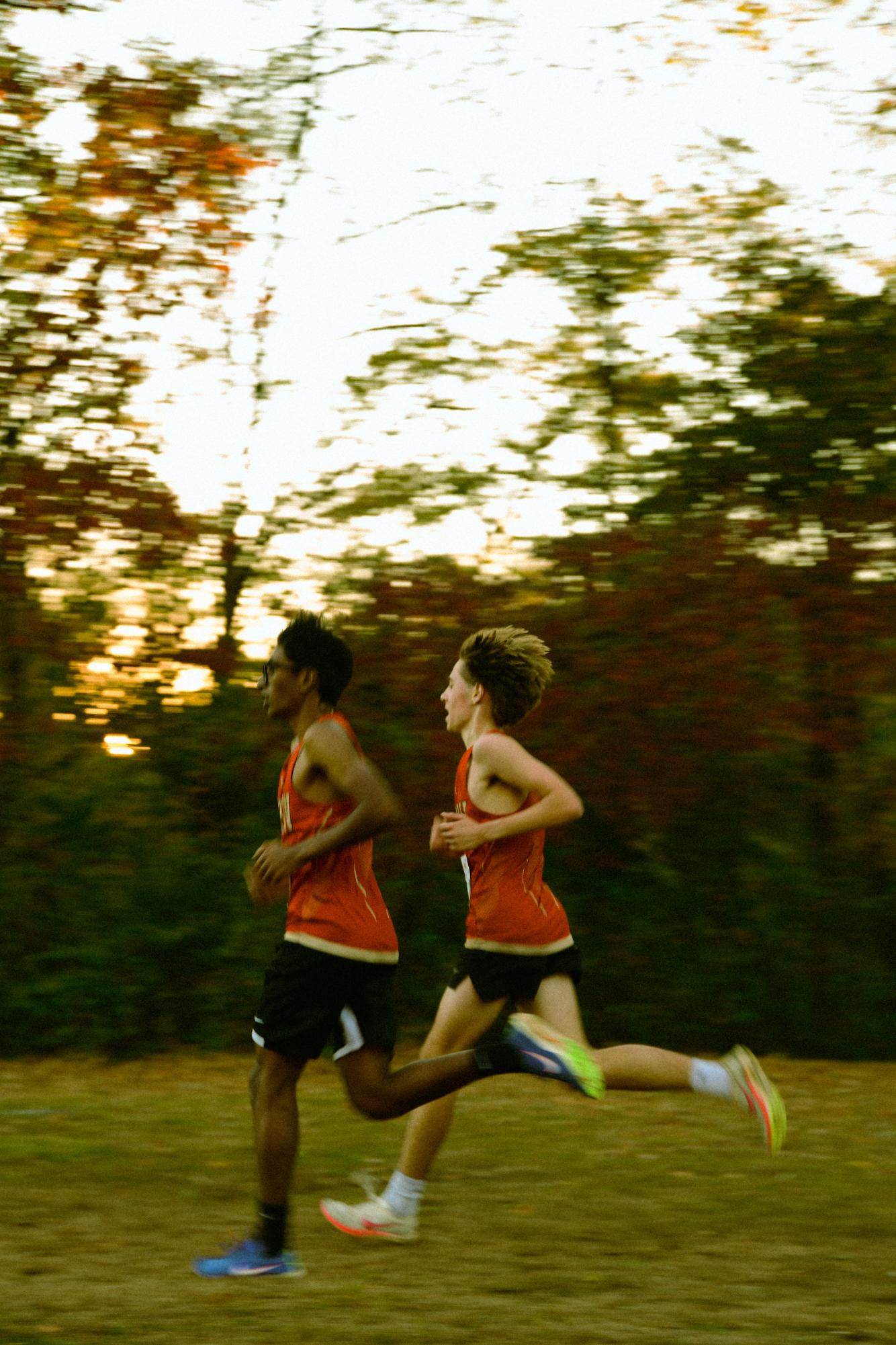 Edison High Cross Country Shine at the GMC Divisional Championship