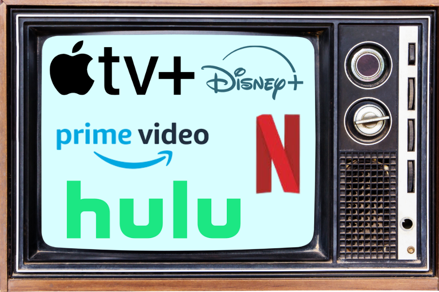 A variety of streaming services battle it out for the coveted spot on your TV.