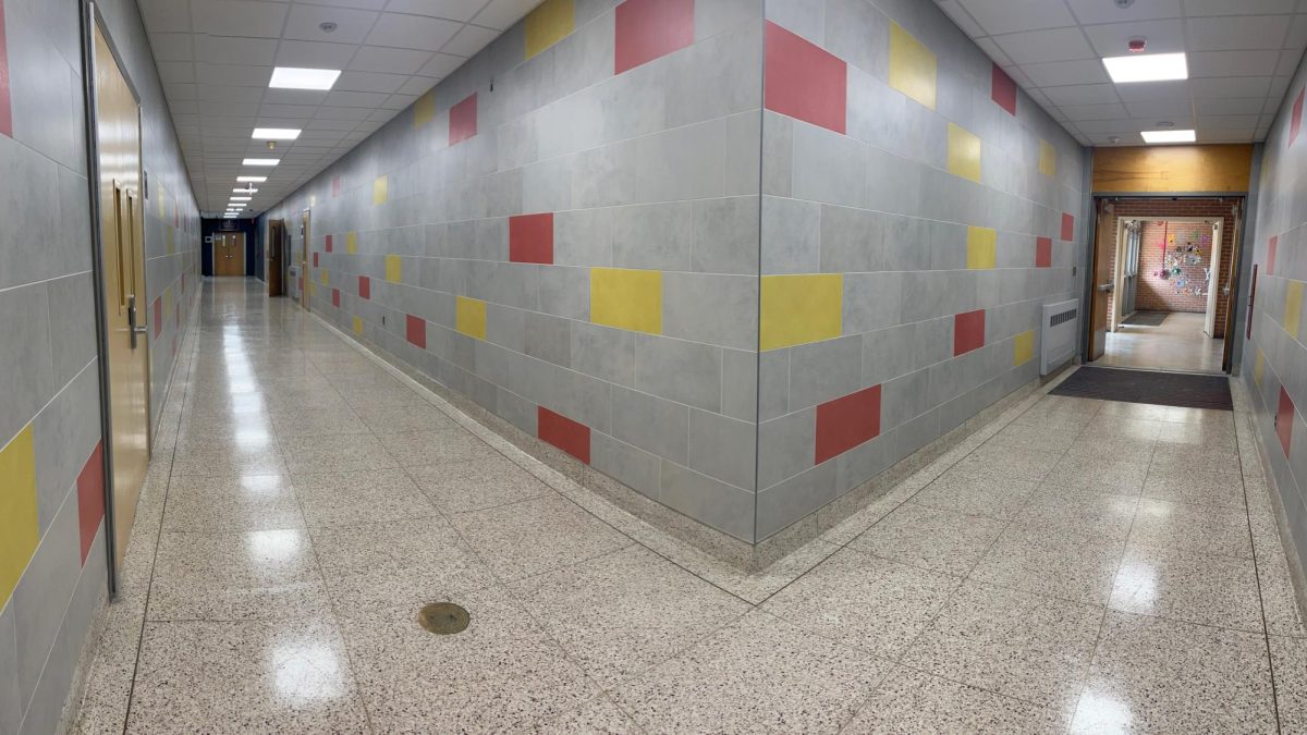 After renovations, EHS' walls, once full of historic photos and student art, are now a sterile gray.