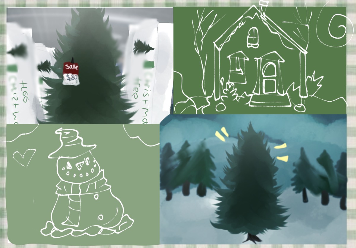 The Christmas tree brings a festive home together; it's where the Christmas gifts are kept and where the family gathers. Deciding on the perfect tree varies from family to family.
