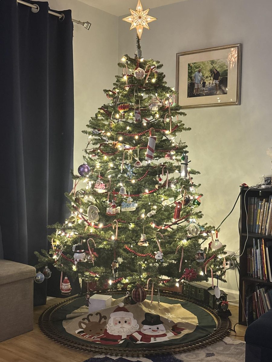 Real or fake? The Christmas tree debate continues this year at EHS with students and staff alike. 