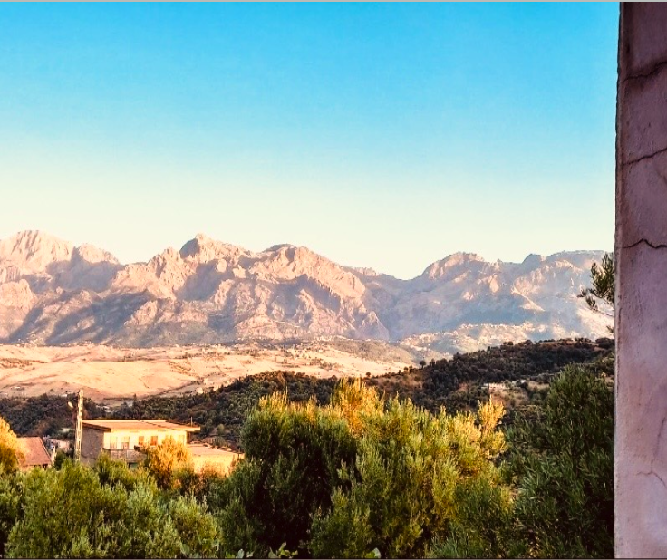 Life in Algeria