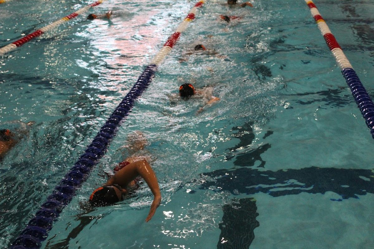Edison swimmers participated in several events throughout the day, maintaining a high level of performance that closely matched the Wardlaw-Hartridge School in nearly every race which resulted in a win on Senior Night.