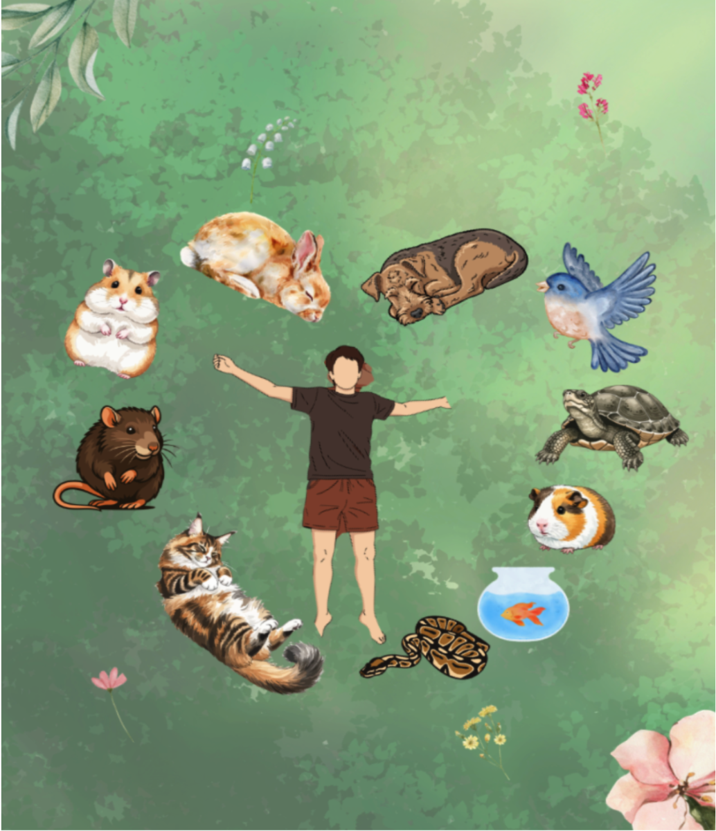 Who loves whom more, pets or humans?